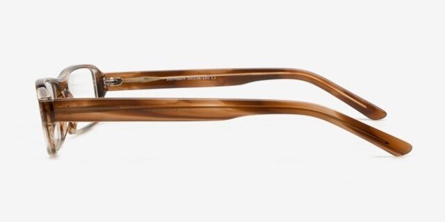 Steinbach Brown AcetateEyeglass Frames from EyeBuyDirect, Side View