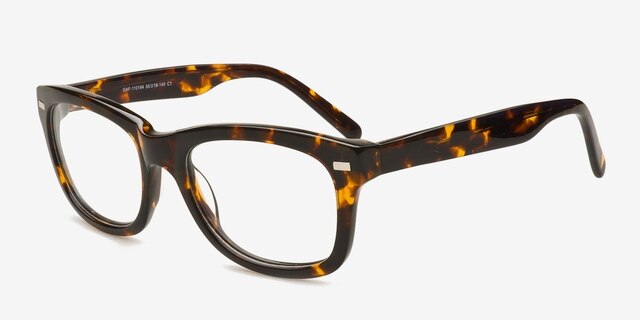 GAF-110194 Tortoise AcetateEyeglass Frames from EyeBuyDirect, Angle View