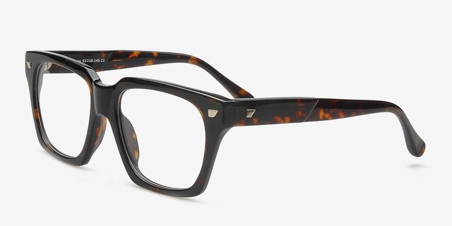Ostrovnoy Tortoise AcetateEyeglass Frames from EyeBuyDirect, Angle View