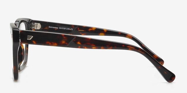 Ostrovnoy Tortoise AcetateEyeglass Frames from EyeBuyDirect, Side View