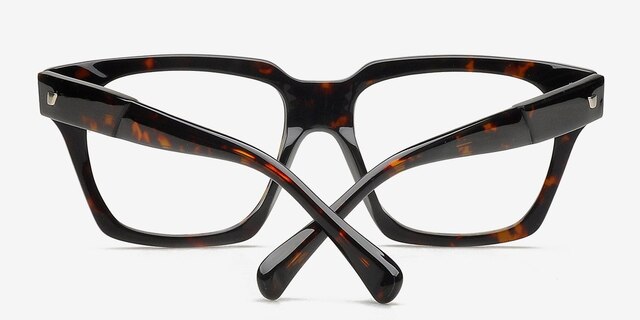 Ostrovnoy Tortoise AcetateEyeglass Frames from EyeBuyDirect, Closed View