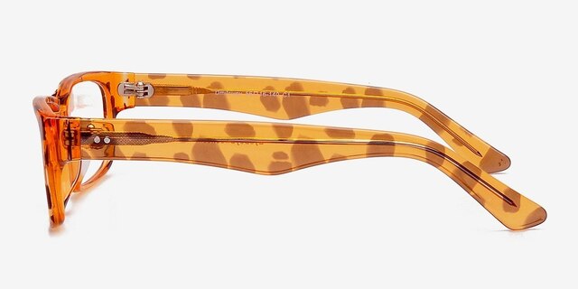 Dmitriyev Tortoise AcetateEyeglass Frames from EyeBuyDirect, Side View