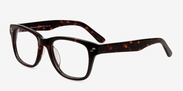 Chernogorsk Brown AcetateEyeglass Frames from EyeBuyDirect, Angle View