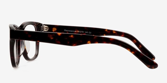 Chernogorsk Brown AcetateEyeglass Frames from EyeBuyDirect, Side View