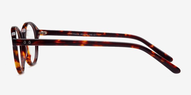 Odintsovo Tortoise AcetateEyeglass Frames from EyeBuyDirect, Side View