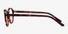 Odintsovo Tortoise AcetateEyeglass Frames from EyeBuyDirect, Side View