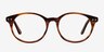 Saratov Brown AcetateEyeglass Frames from EyeBuyDirect, Front View