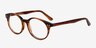 Saratov Brown AcetateEyeglass Frames from EyeBuyDirect, Angle View