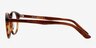 Saratov Brown AcetateEyeglass Frames from EyeBuyDirect, Side View