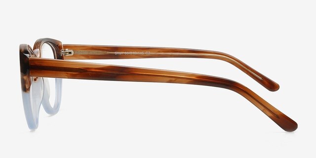 Shali Brown & Blue AcetateEyeglass Frames from EyeBuyDirect, Side View