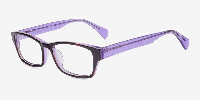 Mcminnville Purple AcetateEyeglass Frames from EyeBuyDirect, Angle View