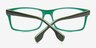 Adriel Olive AcetateEyeglass Frames from EyeBuyDirect, Closed View