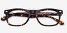 Sam Tortoise AcetateEyeglass Frames from EyeBuyDirect, Closed View