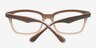 Scout Brown AcetateEyeglass Frames from EyeBuyDirect, Closed View