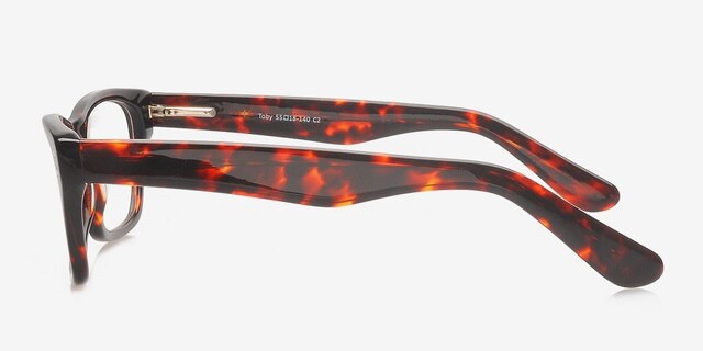 Toby Tortoise AcetateEyeglass Frames from EyeBuyDirect, Side View