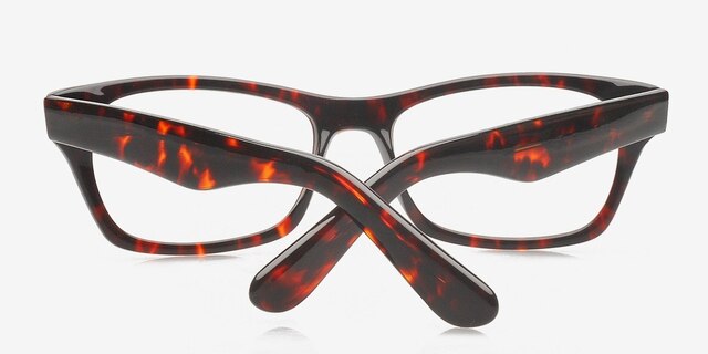 Toby Tortoise AcetateEyeglass Frames from EyeBuyDirect, Closed View