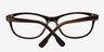 Alia Olive AcetateEyeglass Frames from EyeBuyDirect, Closed View
