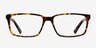 Denny Brown & Tortoise AcetateEyeglass Frames from EyeBuyDirect, Front View