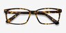 Denny Brown & Tortoise AcetateEyeglass Frames from EyeBuyDirect, Closed View