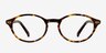 Alisha Tortoise AcetateEyeglass Frames from EyeBuyDirect, Front View