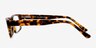 Ernie Brown & Tortoise AcetateEyeglass Frames from EyeBuyDirect, Side View