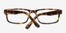 Ernie Brown & Tortoise AcetateEyeglass Frames from EyeBuyDirect, Closed View