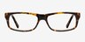 Brysen Brown & Tortoise AcetateEyeglass Frames from EyeBuyDirect, Front View