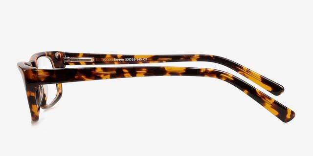 Brysen Brown & Tortoise AcetateEyeglass Frames from EyeBuyDirect, Side View