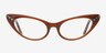 Alondra Brown AcetateEyeglass Frames from EyeBuyDirect, Front View