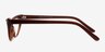 Alondra Brown AcetateEyeglass Frames from EyeBuyDirect, Side View