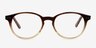 Alyvia Brown AcetateEyeglass Frames from EyeBuyDirect, Front View