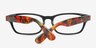 Jinny Black & Brown AcetateEyeglass Frames from EyeBuyDirect, Closed View