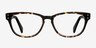 Beacon Hill Black & Tortoise AcetateEyeglass Frames from EyeBuyDirect, Front View