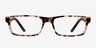 Cambridge Brown & Tortoise Wood-textureEyeglass Frames from EyeBuyDirect, Front View