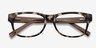 Willow Brown & Tortoise AcetateEyeglass Frames from EyeBuyDirect, Closed View