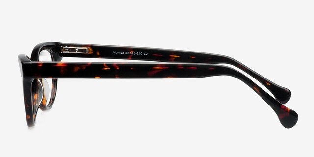 Monica Brown & Tortoise AcetateEyeglass Frames from EyeBuyDirect, Side View