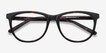Anahi Brown & Tortoise AcetateEyeglass Frames from EyeBuyDirect, Closed View