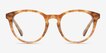 Stanford Brown & Tortoise AcetateEyeglass Frames from EyeBuyDirect, Front View