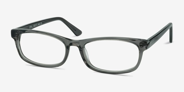 Opal Gray AcetateEyeglass Frames from EyeBuyDirect, Angle View