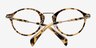 Opera Tortoise AcetateEyeglass Frames from EyeBuyDirect, Closed View
