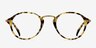 Old Street Golden & Tortoise AcetateEyeglass Frames from EyeBuyDirect, Front View