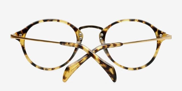 Old Street Golden & Tortoise AcetateEyeglass Frames from EyeBuyDirect, Closed View