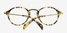 Old Street Golden & Tortoise AcetateEyeglass Frames from EyeBuyDirect, Closed View
