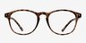 Sal Brown & Tortoise PlasticEyeglass Frames from EyeBuyDirect, Front View