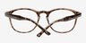 Sal Brown & Tortoise PlasticEyeglass Frames from EyeBuyDirect, Closed View
