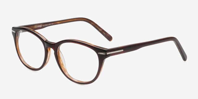 Chicago Brown AcetateEyeglass Frames from EyeBuyDirect, Angle View
