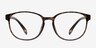 Alessandra Brown & Tortoise PlasticEyeglass Frames from EyeBuyDirect, Front View