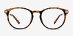 Daphne Brown & Tortoise Plastic, MetalEyeglass Frames from EyeBuyDirect, Front View