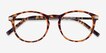 Daphne Brown & Tortoise Plastic, MetalEyeglass Frames from EyeBuyDirect, Closed View