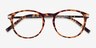 Daphne Brown & Tortoise Plastic-metalMontures de lunettes de vue d'EyeBuyDirect, Vue Rapprochée